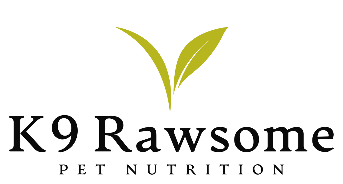 Perfectly rawsome puppy store