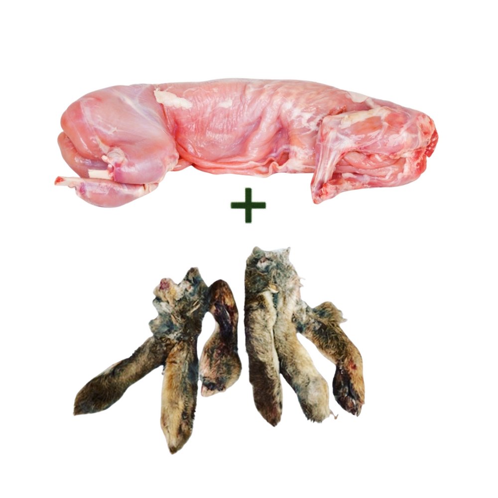 Wild rabbit 2025 meat for sale