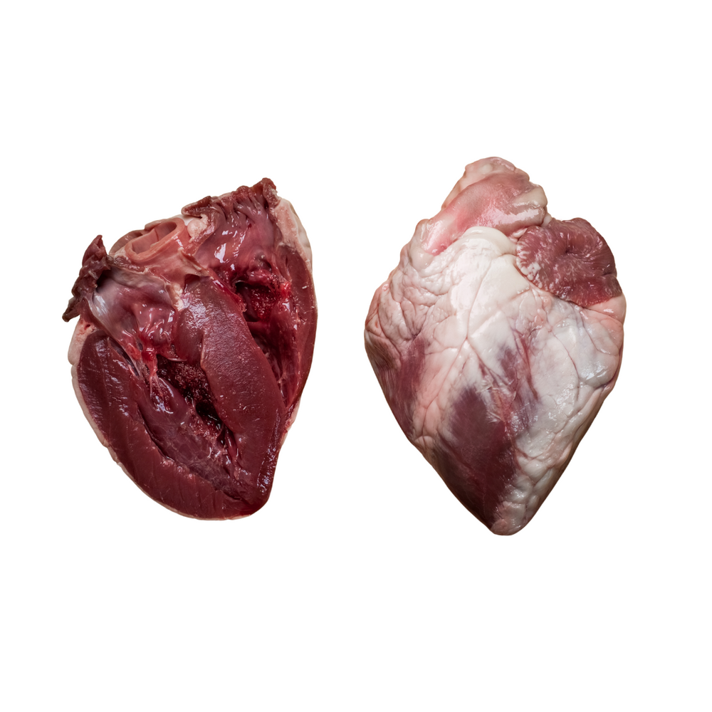 Is lamb heart 2025 good for dogs