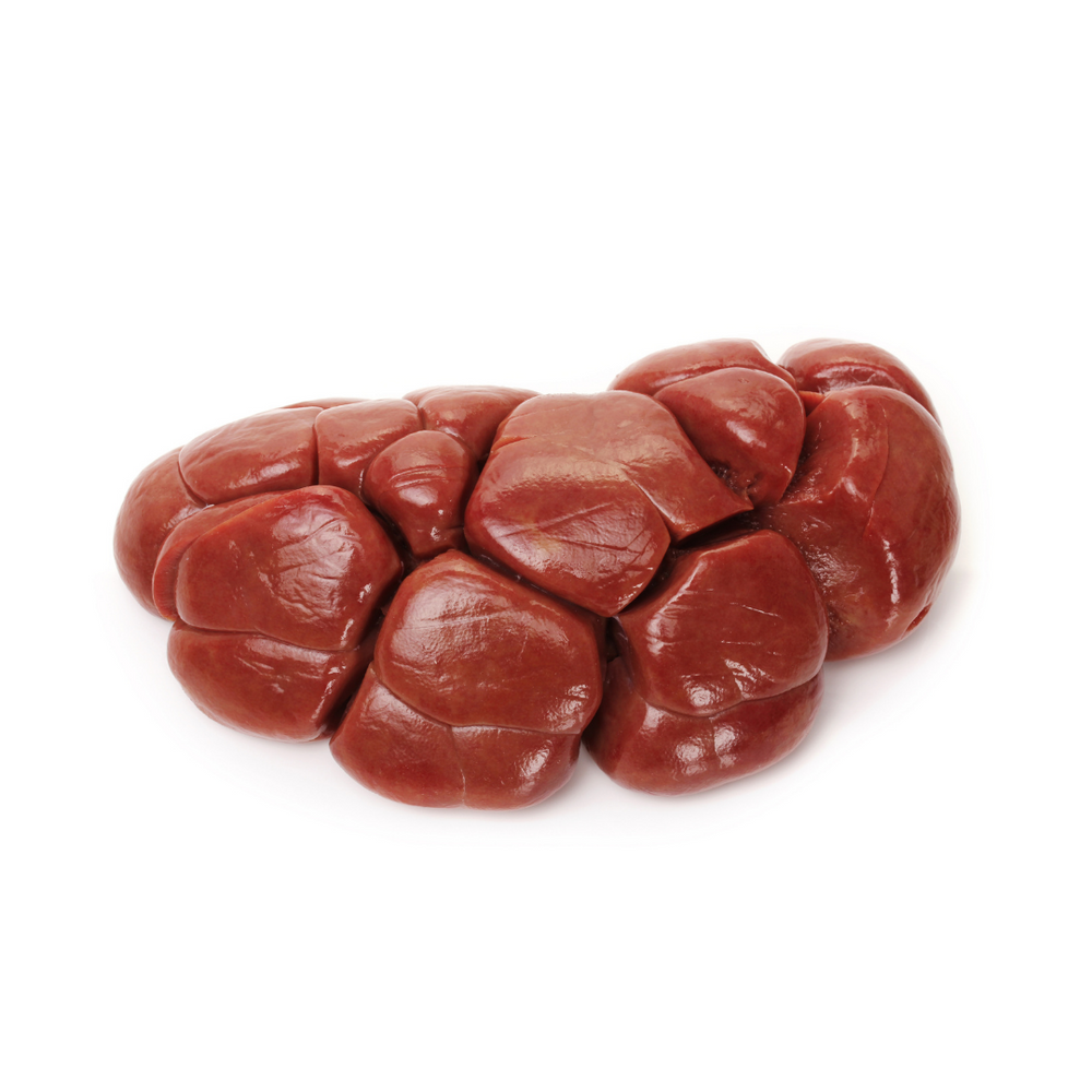 Beef Kidney